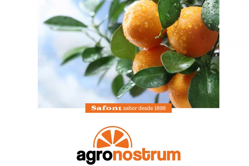 PRESENTAMOS EL NUEVO CATÁLOGO DE AGRONOSTRUM